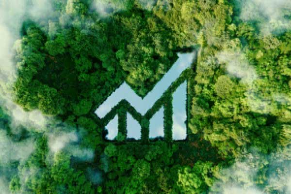 特朗普：将从芝加哥、洛杉矶和波特兰撤走国民警卫队